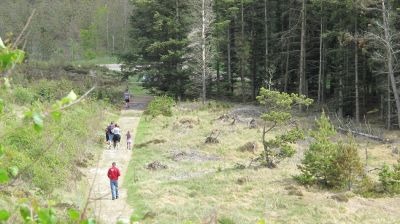 Rødhus Klit Camping Strand