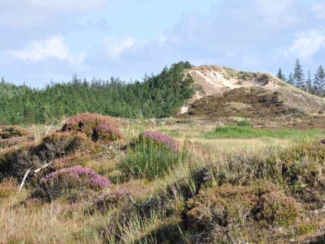 Rødhus Klit Camping Strand