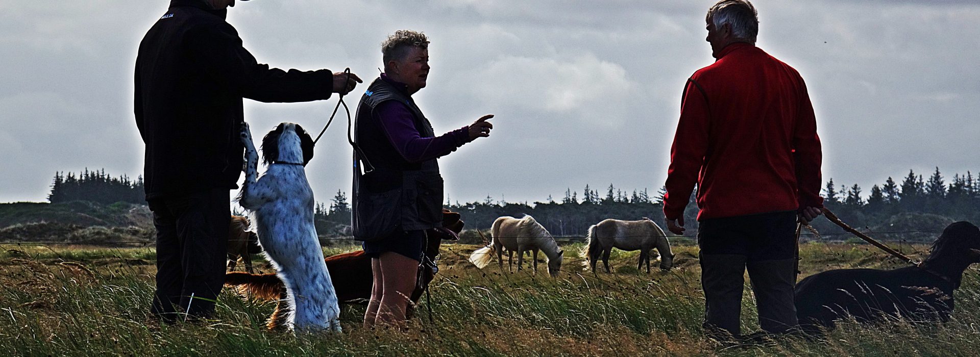 Rødhus Klit Camping Strand
